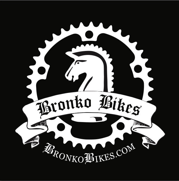 Standard E-bike tune up