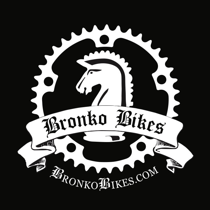 Standard Ebike Tune Up