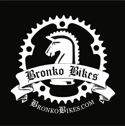 Standard E-bike tune up